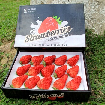 一品莓奶油巧克力草莓365天大量供应
