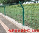 芜湖道路护栏网批发芜湖浸塑道路护栏网安装本地供货商