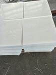 山东PP（聚丙烯）板材，PP片材专业生产厂家