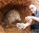 广州灭白蚁多少钱灭鼠多少钱除四害公司杜老鼠杜白蚁图片
