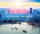 天津进口多功能机器人招标机电证图片