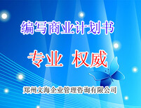 岳阳代写商业计划书保障能通过/策划方案分析图片0