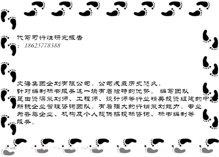 重庆帮写项目立项申请报告申报立项一次过