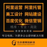 苏州阿里店铺运营诚信通店铺托管网店优化图片3