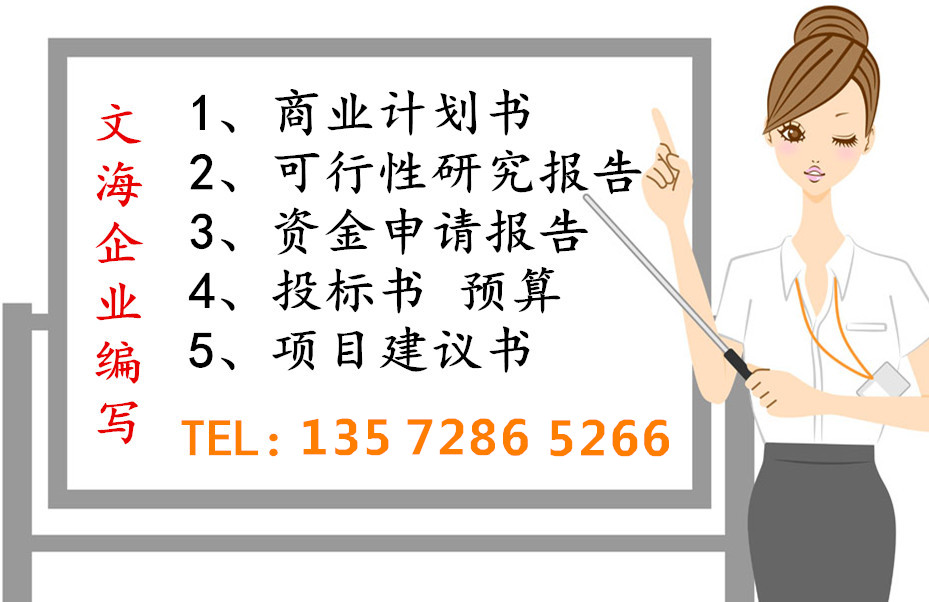 红河代写标书/做可研报告收费低资质盖章