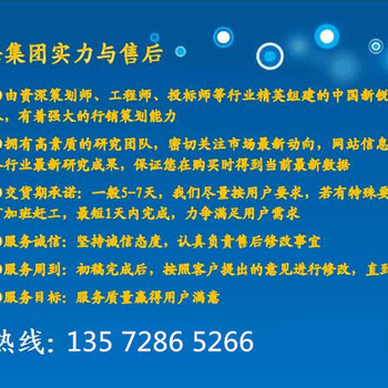 秦皇岛卢龙县帮制作投标文件-施工方案