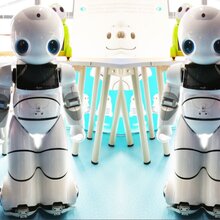 伊娃租赁舞蹈迎宾机器人V3.0图片