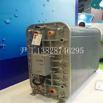 IONPURE西門子3噸EDI膜堆IP-LXM30Z原裝進口現(xiàn)貨供應