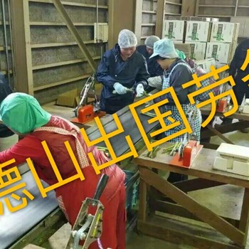 出国劳务选德山无风险高收入是你的选择