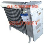 煤矿用隔爆型电热取暖器RB2000/127防爆电暖