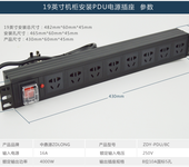 供应广东深圳机柜PDU电源分配器，机房配套防雷PDU排插世纪盾。