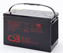 CSB免维护蓄电池GPL121000/12V100AH直流屏电池全新包邮图片