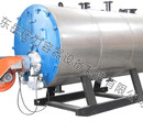 北京6吨燃气（油）热水锅炉WNS蒸汽锅炉图片