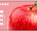 陕西苹果提货卡，二维码苹果卡，华圣果业都在用的苹果礼品卡图片