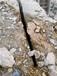南充大型矿山开采采用岩石膨胀开裂器