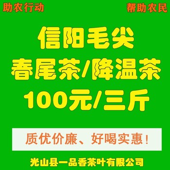 100元3斤！信阳毛尖降温茶来了！每年狂销几万斤