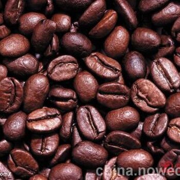 上海进口咖啡需要什么手续