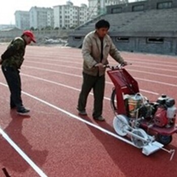 学校操场塑胶跑道河北双鑫体育塑胶跑道价格