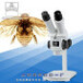 XTT高清晰立体视觉体视显微镜-上海光学仪器一厂生产