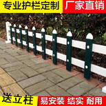 安庆大观绿化带护栏_塑钢围栏_拼命做护栏图片1
