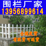 贵州六盘水pvc护栏_绿化围栏草坪栏杆	老板卖哭了图片1