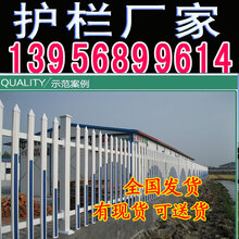 安庆迎江草坪护栏_绿化护栏出售图片