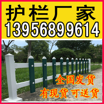 眉山丹棱县pvc护栏_塑料护栏_塑钢护栏为了新农村拼了