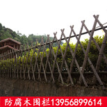 广东湛江绿化带护栏_塑钢围栏_拼命做护栏图片1
