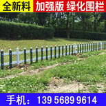 临泉pvc塑钢护栏图片2