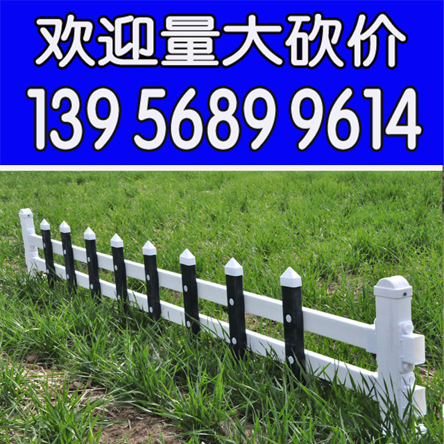 郴州桂东pvc草坪栅栏        