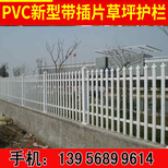 阜阳太和pvc小区围墙护栏图片1