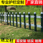 广州从化绿化护栏_花坛围栏厂家批发图片3
