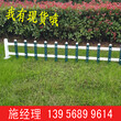 徐州贾汪pvc绿化栅栏图片