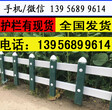 肇庆高要塑钢围栏图片