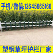 宿州泗绿化护栏-欢迎来厂图片