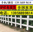 长垣县pvc栏杆发展，30公分厂家提供经营