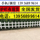 上饶弋阳pvc草坪栅栏,新农村护栏市场前景产量高图片5