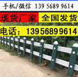 连云港新浦pvc草坪栏杆护栏价格，46-20型栅栏经营图片