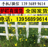 阜阳市颍州区pvc栏杆,花坛护栏，美好乡村建设供应厂图片3