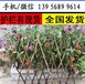 信阳市商城县花草围栏pvc栏杆质量保证吗？