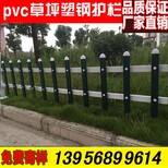 驻马店市确山县pvc塑钢围栏-草坪护栏安装说明书，护栏多样化图片0