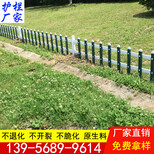 驻马店市确山县pvc塑钢围栏-草坪护栏安装说明书，护栏多样化图片2