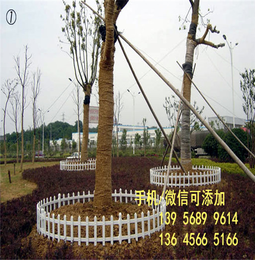 赣州市赣县pvc绿化栅栏变压器护栏        生产制作欢迎下