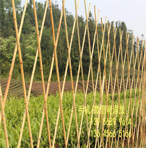 厂家联系方式安徽省芜湖市pvc绿化栅栏