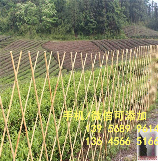 抚州金溪县pvc护栏绿化带护栏厂家供应