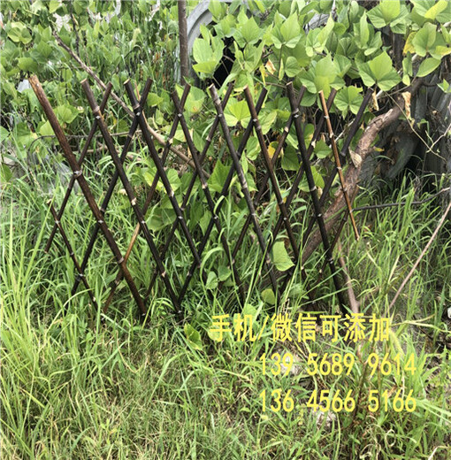 福州台江区pvc草坪栏杆塑钢护栏围栏100米起批