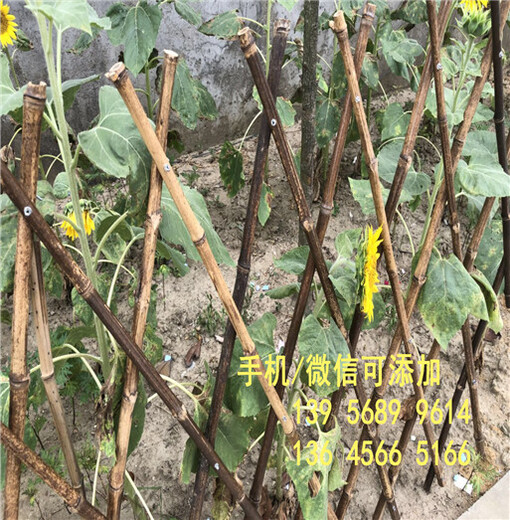厂家批发芜湖市三山区塑钢庭院围栏变压器护栏箱变护栏围栏