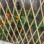 白银平川pvc塑钢围栏-草坪护栏送立柱，送配件图片5