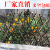 杭州临安塑钢围栏塑钢栅栏产量高