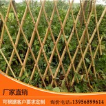 株洲天元PVC草坪护栏花园塑钢围栏量大送货图片1
